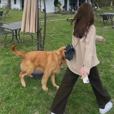 一年级·大学季
